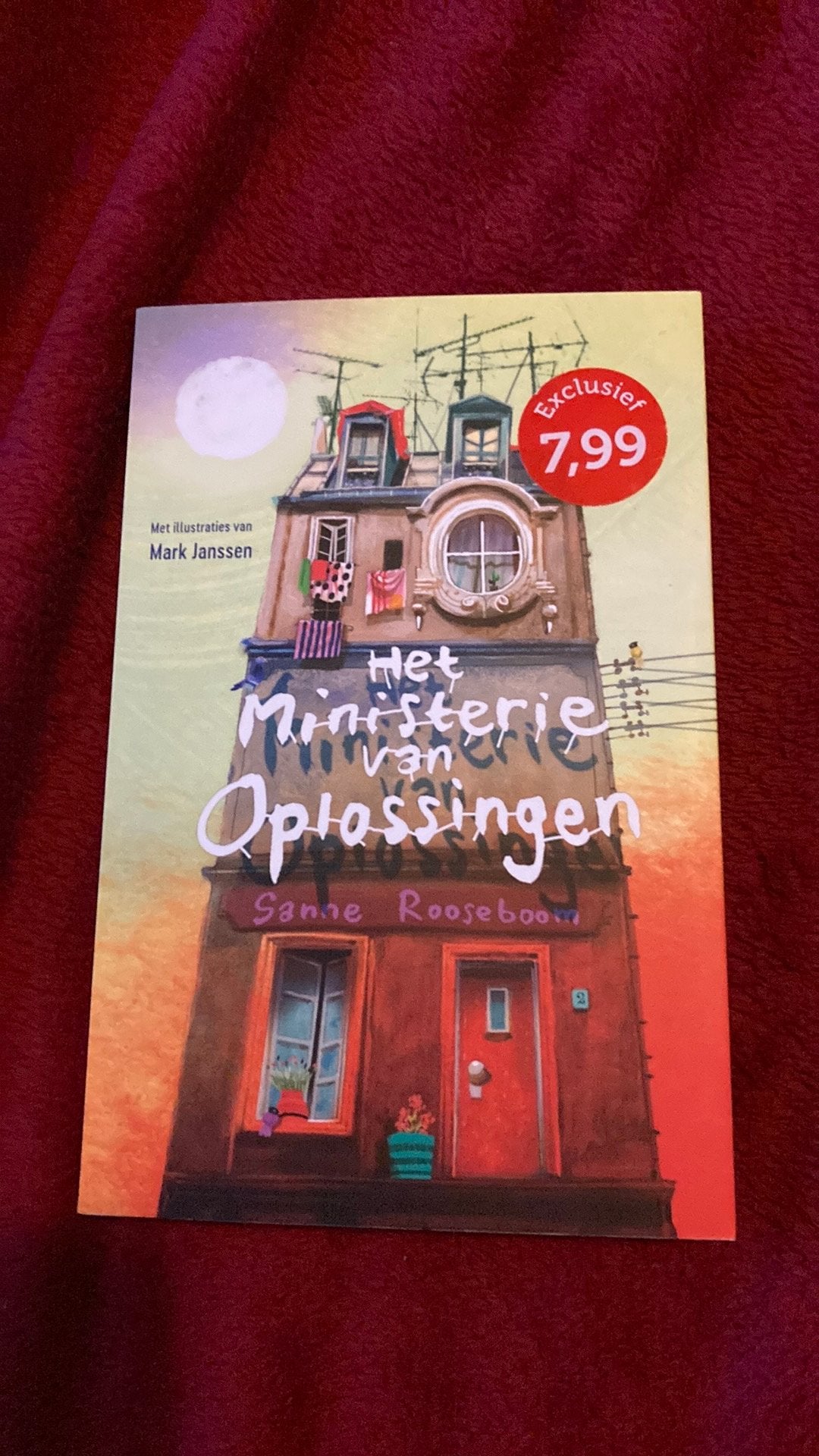 Het ministerie van oplossingen , Sanne Rooseboom, Ophalen of Verzenden, Gelezen