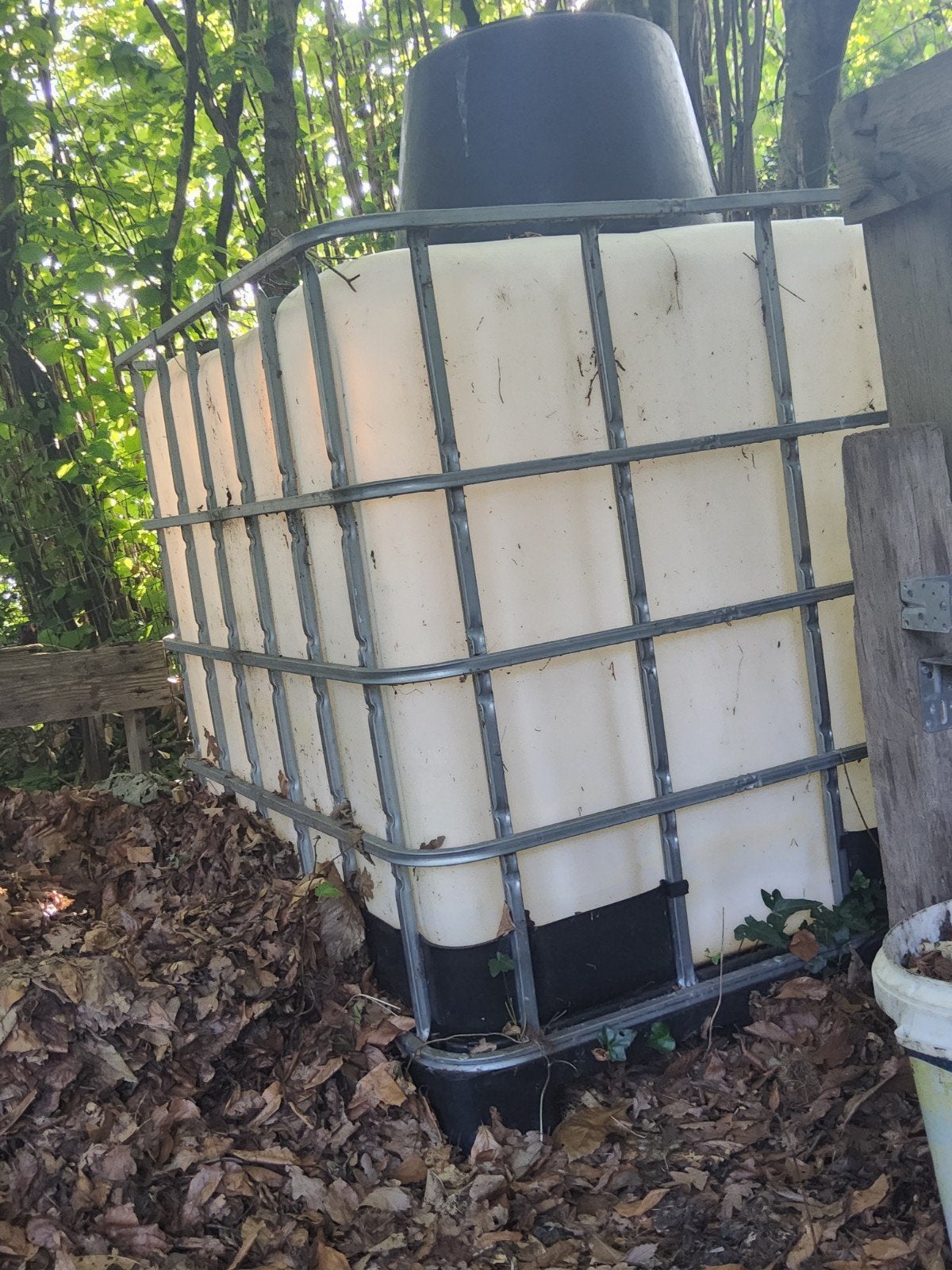 IBC 1000 liter watervat met kunststof kraan., Tuin en Terras, Regentonnen, 150 liter of meer, Ophalen