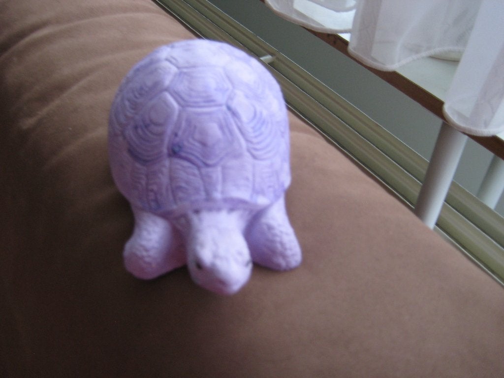 Schildpad, nieuw, Verzamelen, Dierenverzamelingen, Ophalen of Verzenden, Nieuw, Reptiel of Amfibie, Beeldje of Figuurtje