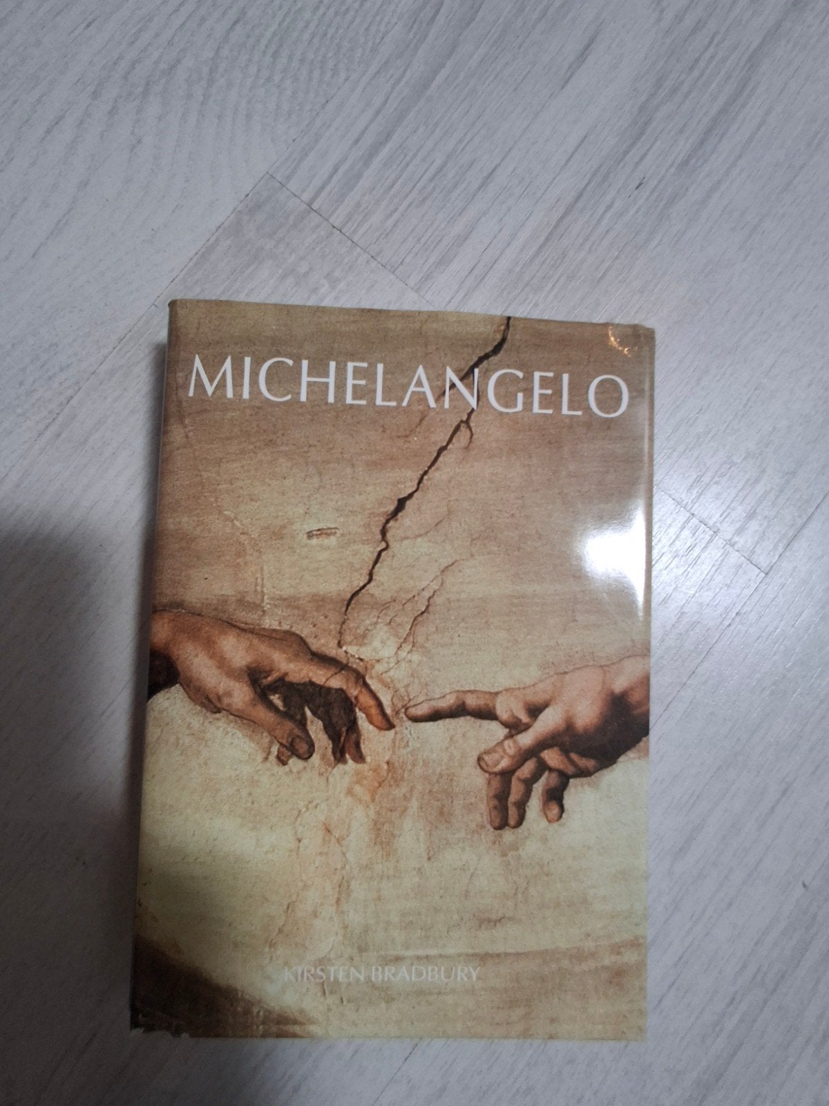 Michelangelo Kunstboek - In goede staat, Ophalen of Verzenden