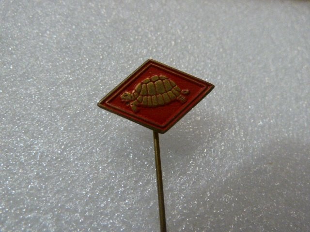 Vintage Speldje Schildpad - Rood en Goudkleurig, Verzamelen, Ophalen of Verzenden, Gebruikt, Dier of Natuur, Speldje of Pin