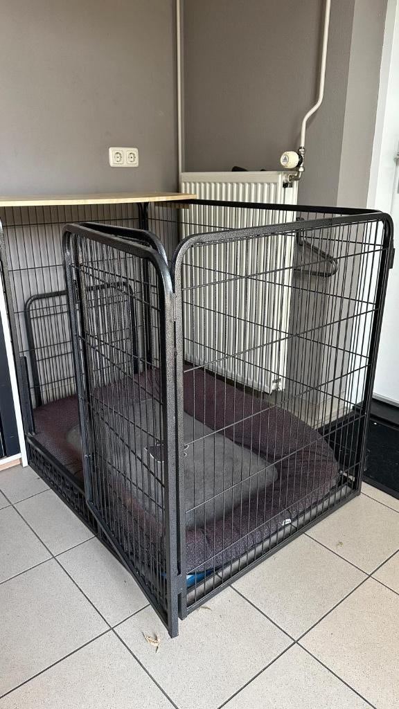 Honden bench (125x80), Dieren en Toebehoren, Ophalen, Zo goed als nieuw
