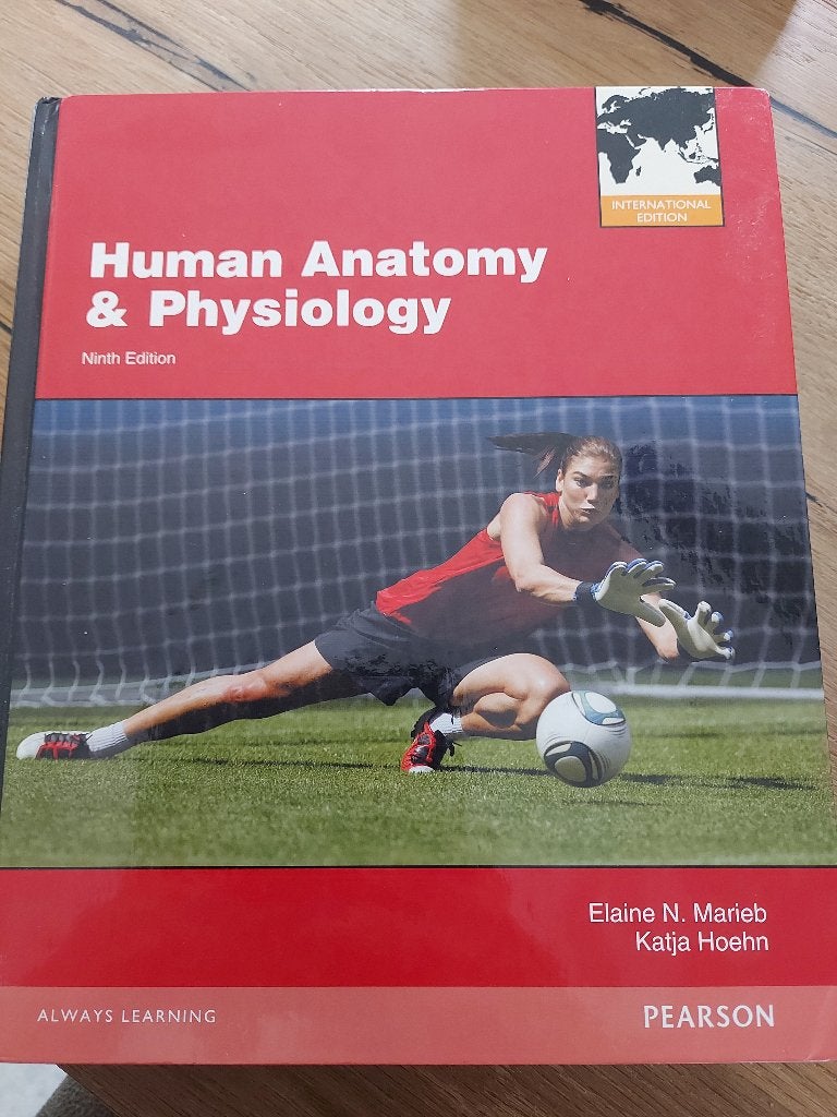 Human Anatomy & Physiology, Verzenden, Beta, Zo goed als nieuw, WO