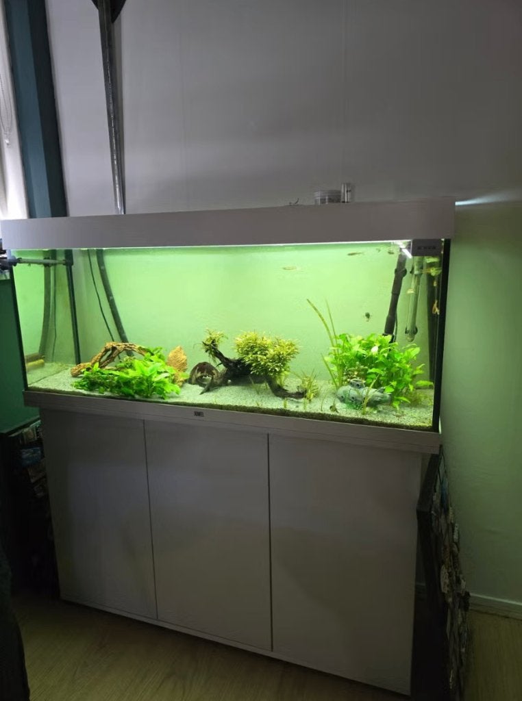 juwel Rio 240 wit., Dieren en Toebehoren, Ophalen, Zo goed als nieuw, Gevuld zoetwateraquarium, Juwel