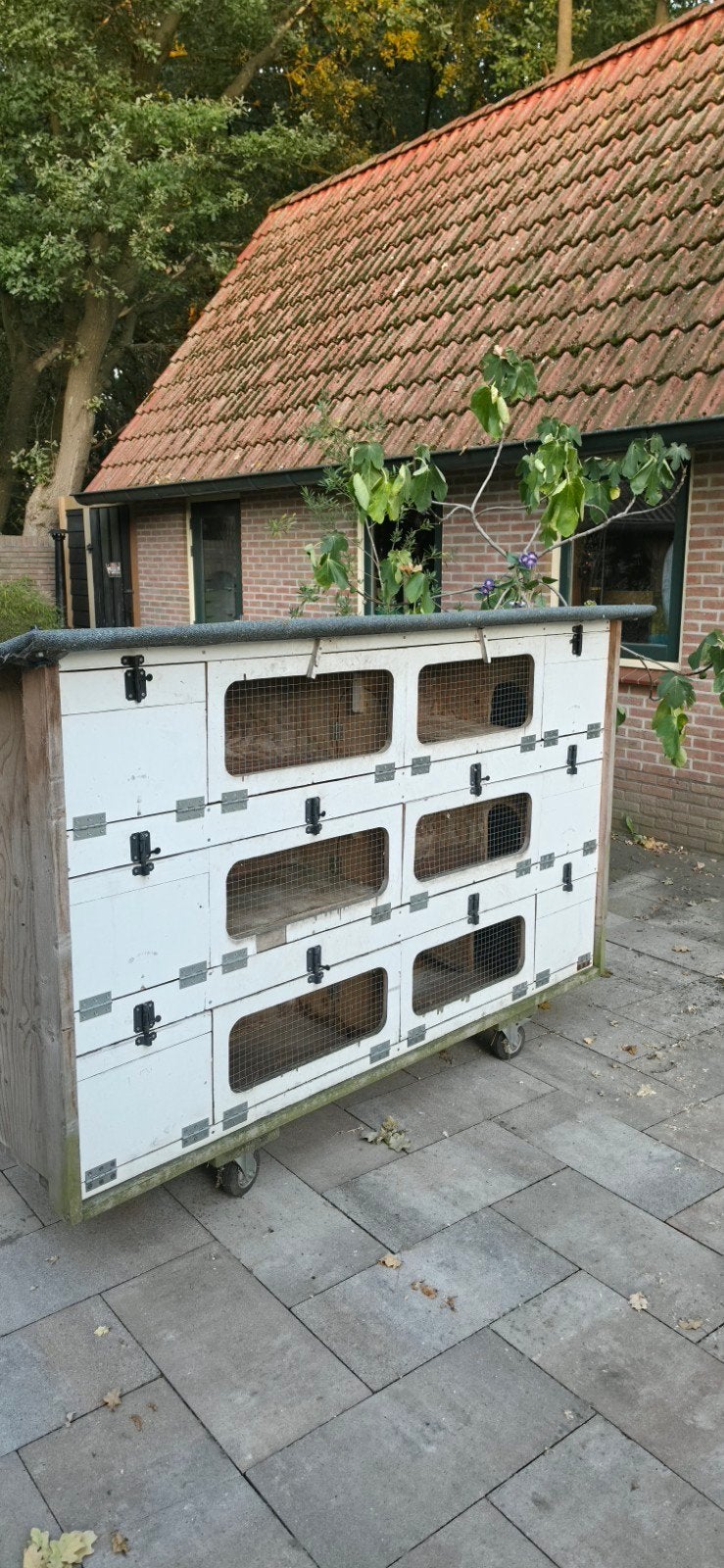 Tekoop: Prachtige verijdbaar konijn/knaagdieren flat, Ophalen, 110 cm of meer, Cavia, Zo goed als nieuw