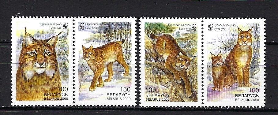 WWF Belarus Mi. 373/376 Postfris (lynx), Ophalen of Verzenden, Postfris, Dier of Natuur