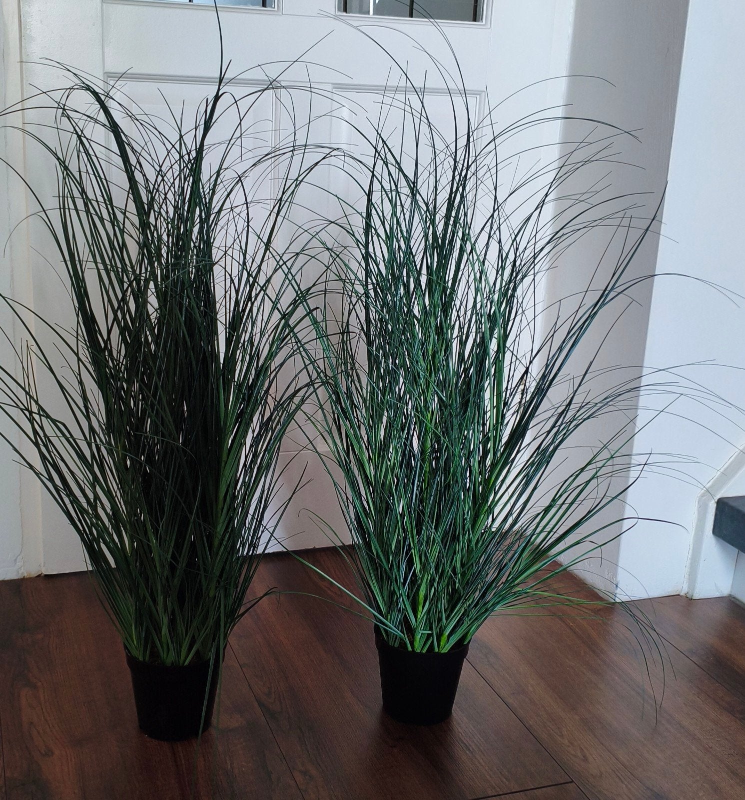 Intratuin kunstplanten Miscanthus (Siergras) - met potten, Ophalen, Binnen, Groen, 70 cm