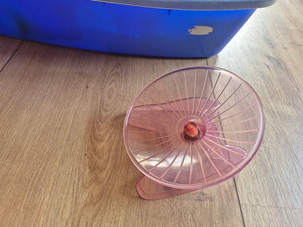 Hamster speelgoed draairad, Januari, Geslacht onbekend, Hamster
