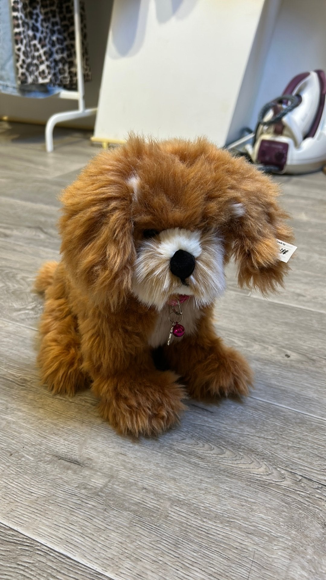 Steiff Cockapoo knuffel, Ophalen of Verzenden, Zo goed als nieuw, Hond