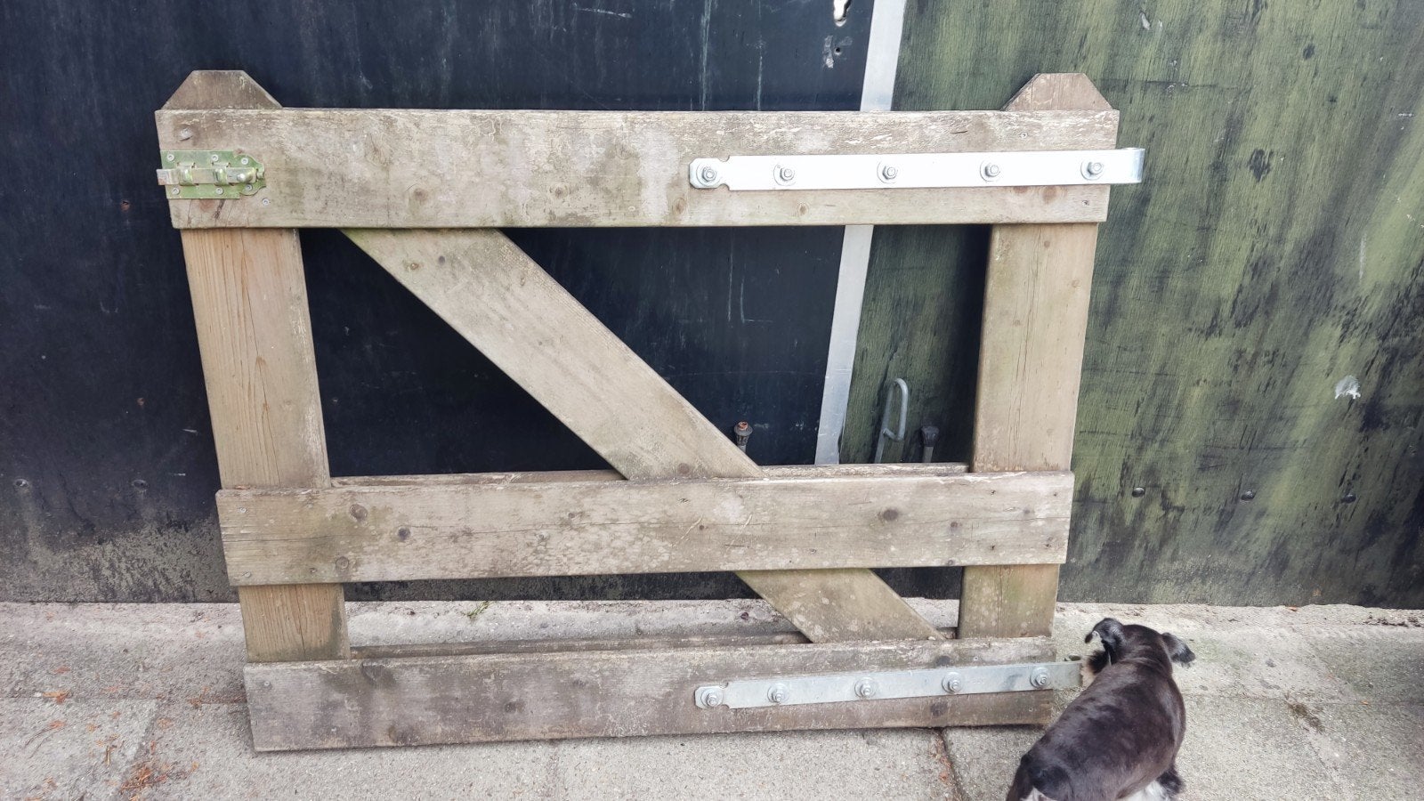 3 X poort / hekken geïmpregneerd hout, Tuin en Terras, Ophalen, Gebruikt, Hout, Tuinhek
