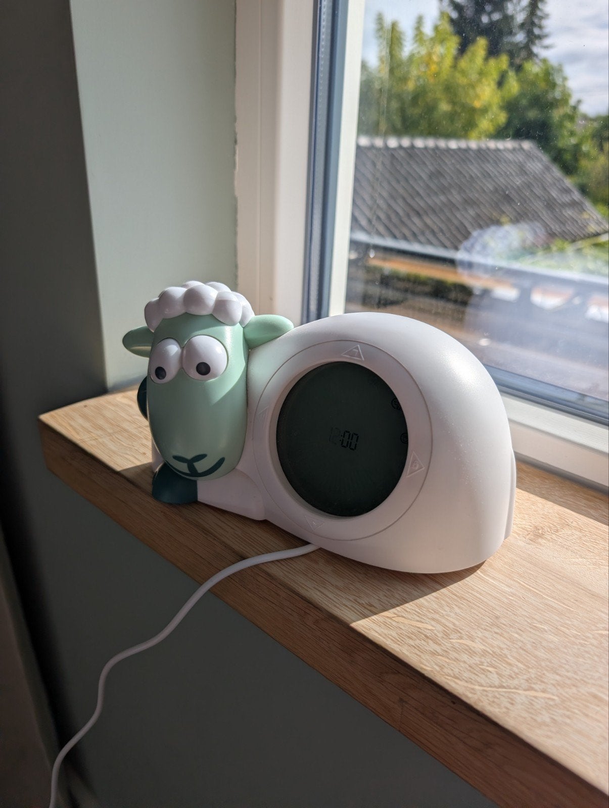 Sam het Schaap Slaaptrainer Groen, Witgoed en Apparatuur, Ophalen, Gebruikt, Digitaal