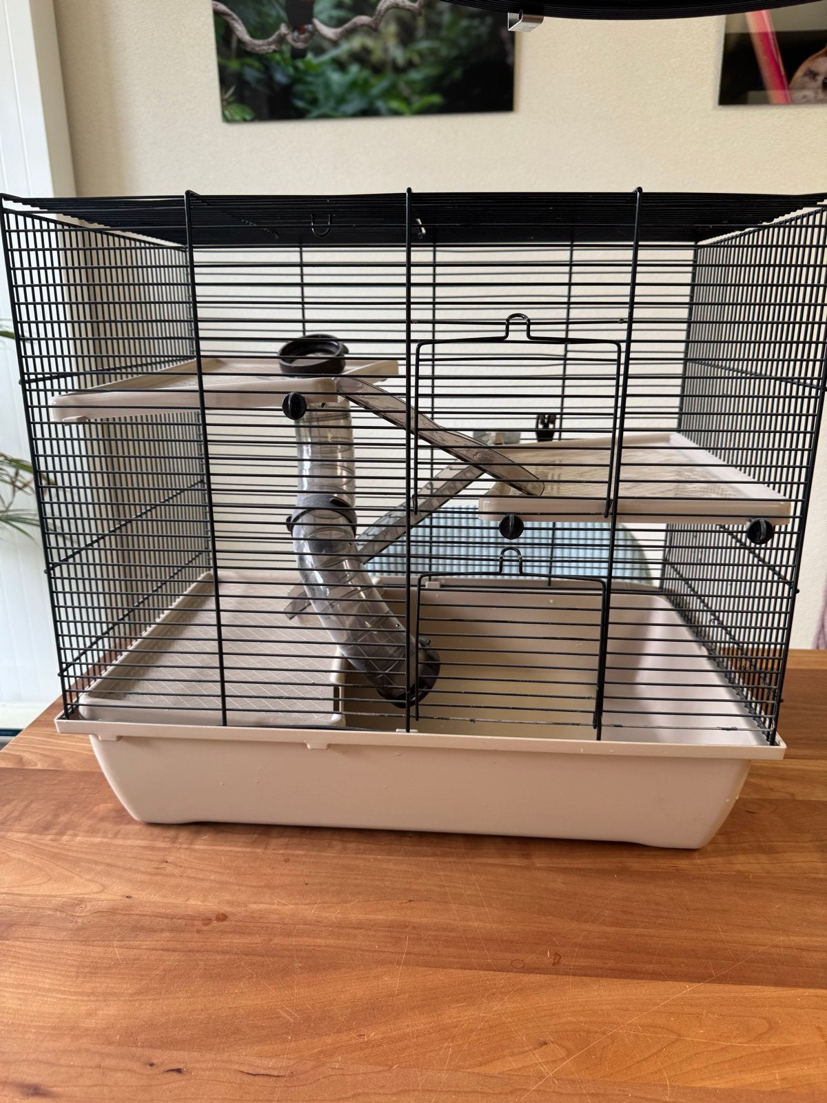 Hamsterkooi met verdiepingen en rad, Kooi, Gebruikt, Minder dan 75 cm, Hamster