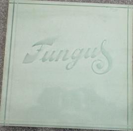 Fungus - Fungus, Gatefold hoes, Ophalen of Verzenden, Gebruikt, 12 inch