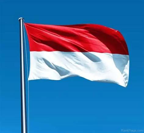 Iets nodig uit Indonesië?, Hobby en Vrije tijd, Kledingpatronen, Ophalen of Verzenden, Vrouw, Overige merken
