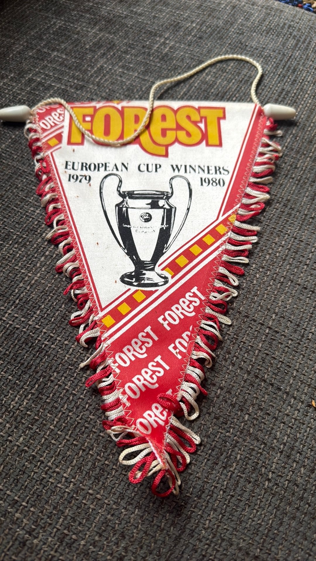 Nothingham forest  Engelse voetbal club 1979 vintage, Ophalen of Verzenden, Zo goed als nieuw