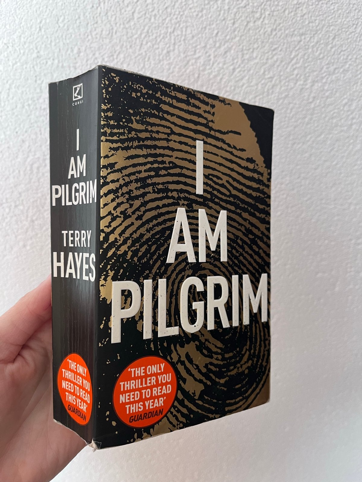 I Am Pilgrim - Terry Hayes (Thriller) EN, Ophalen of Verzenden, Gelezen, Europa overig