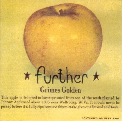 cd van Further – Grimes Golden, Verzenden, Zo goed als nieuw, Poprock