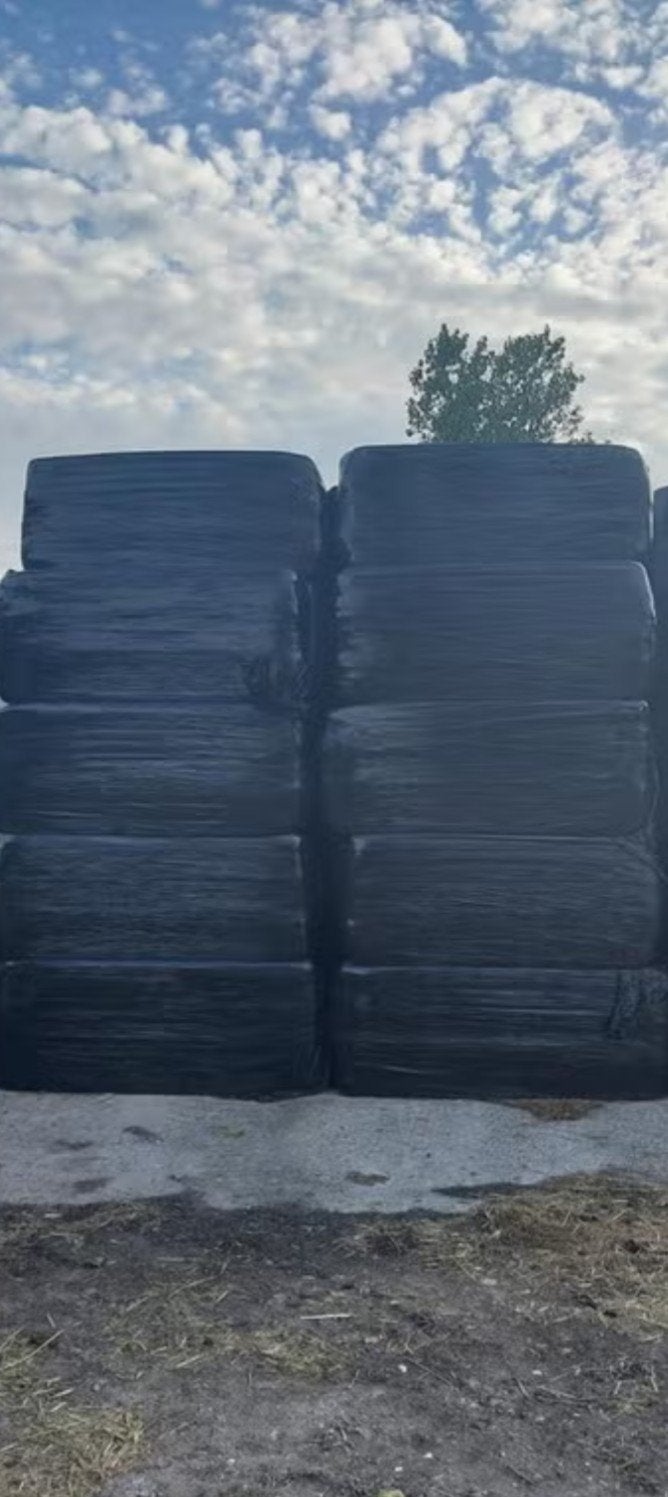 Gratis 16 grote vierkante Balen, Dieren en Toebehoren, Ophalen, Vee