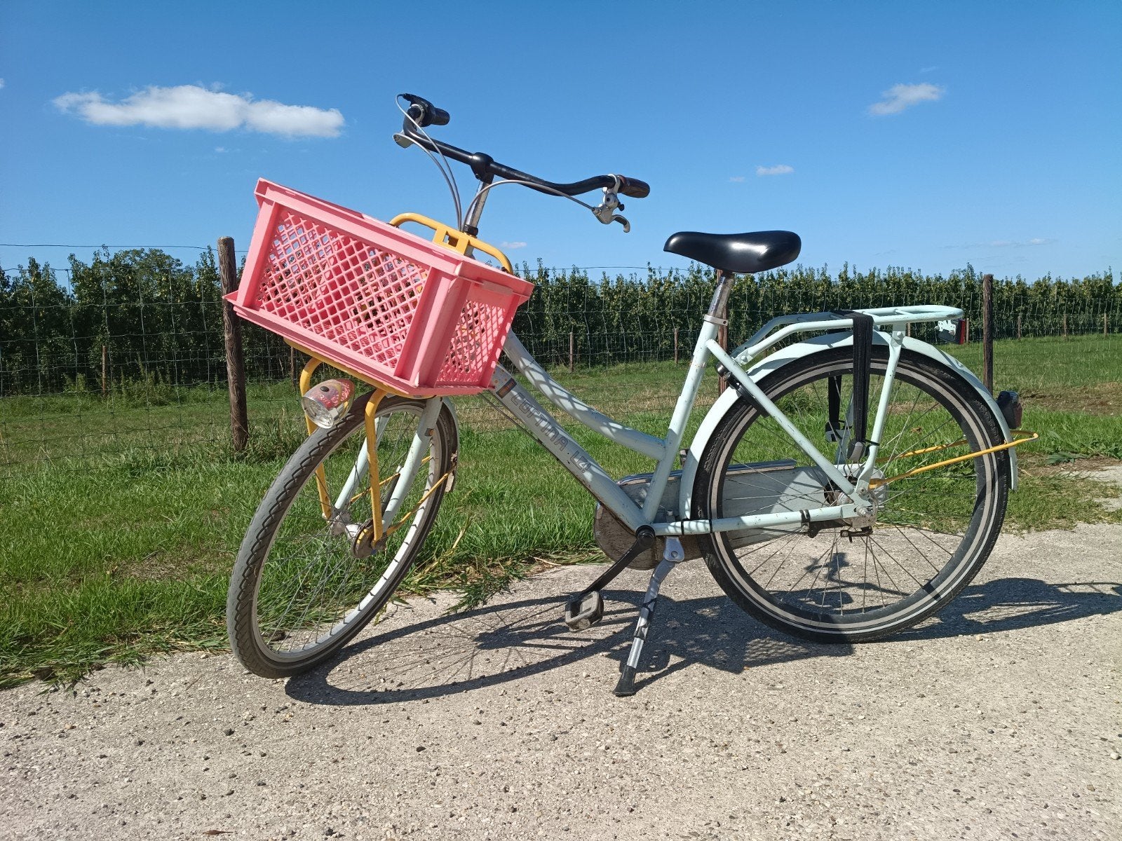 kinderfiets meisjes fiets Cortina, Fietsen en Brommers, Fietsen | Meisjes, Gebruikt, Cortina U4 transportfiets, Versnellingen
