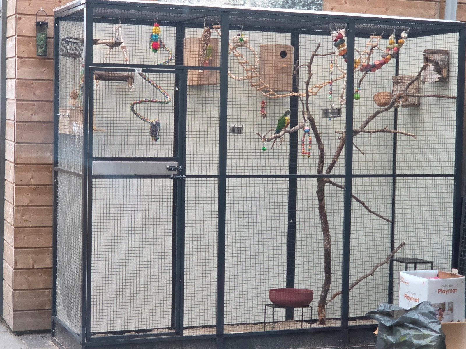 Papagaaien Opvang Zwolle, Meerdere dieren, Parkiet