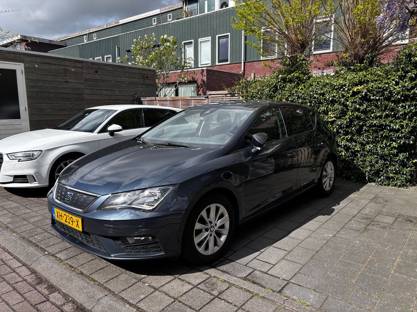 Seat Leon 1.0 | Business Intense | Carplay | Automaat, Auto's, Seat, Particulier, Leon, ABS, Apple Carplay, Bluetooth, Centrale vergrendeling