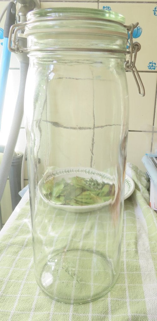 wekpot, Ophalen, Glas, IKEA, Zo goed als nieuw