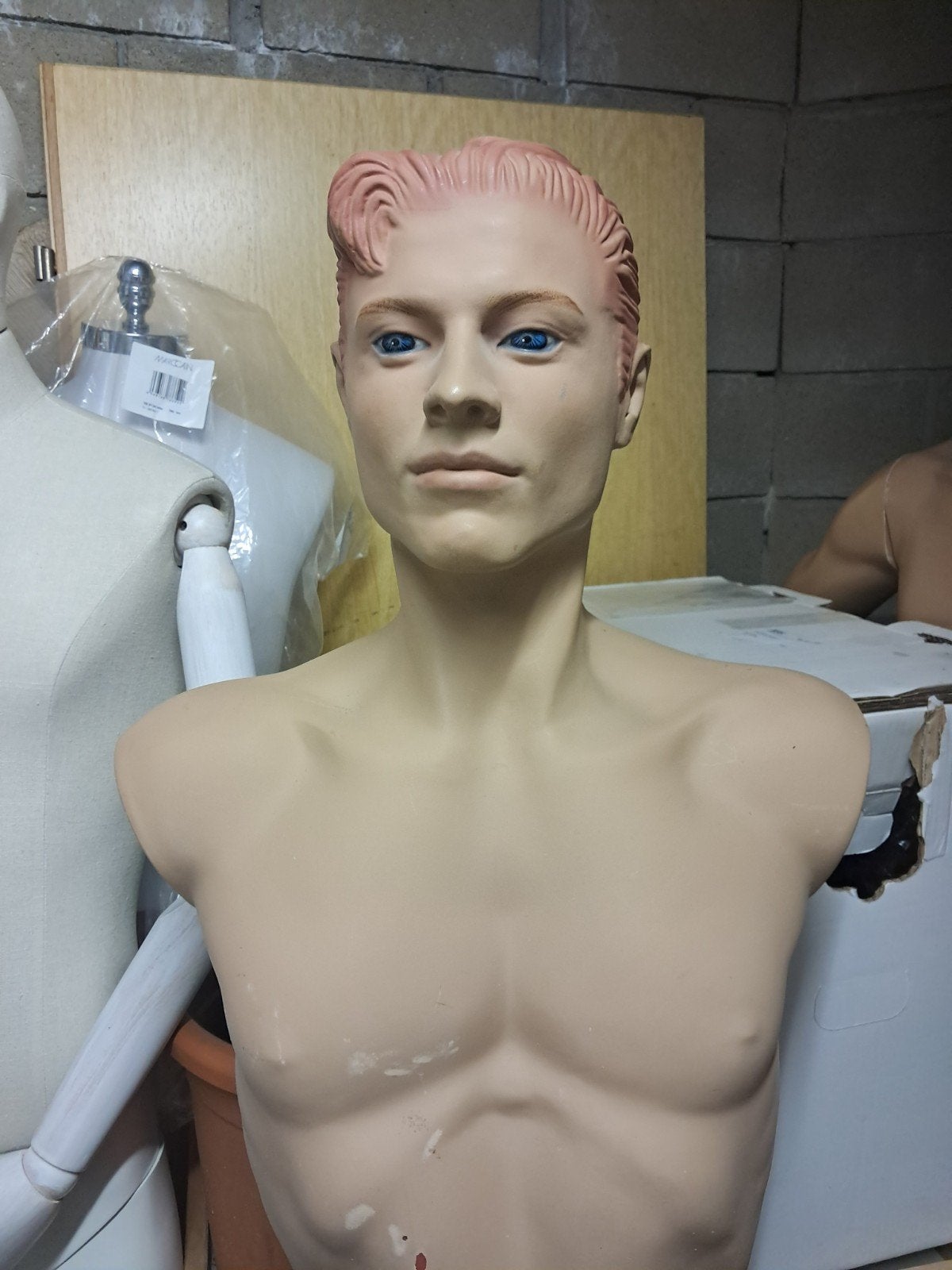 Aad Verboom Torso Mannequin gestyleerd haar, Ophalen
