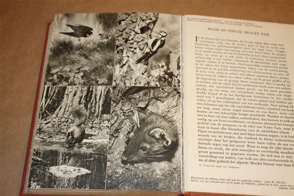 Zwervend langs het wildspoor. A.B. Wigman. 1951., Ophalen of Verzenden, Gelezen