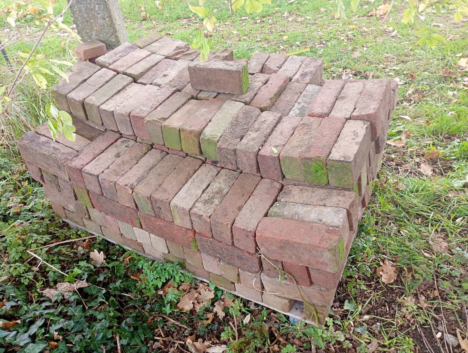 Gebruikte Klinkers - 273 stuks en passtukken, Tuin en Terras, Ophalen, Gebruikt, Klinkers