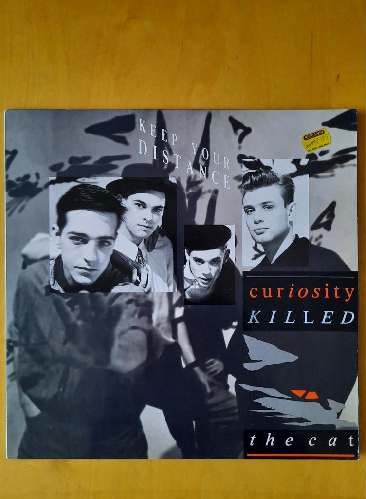Curiosity killed the cat - Keep your distance, Ophalen of Verzenden, Zo goed als nieuw, 12 inch