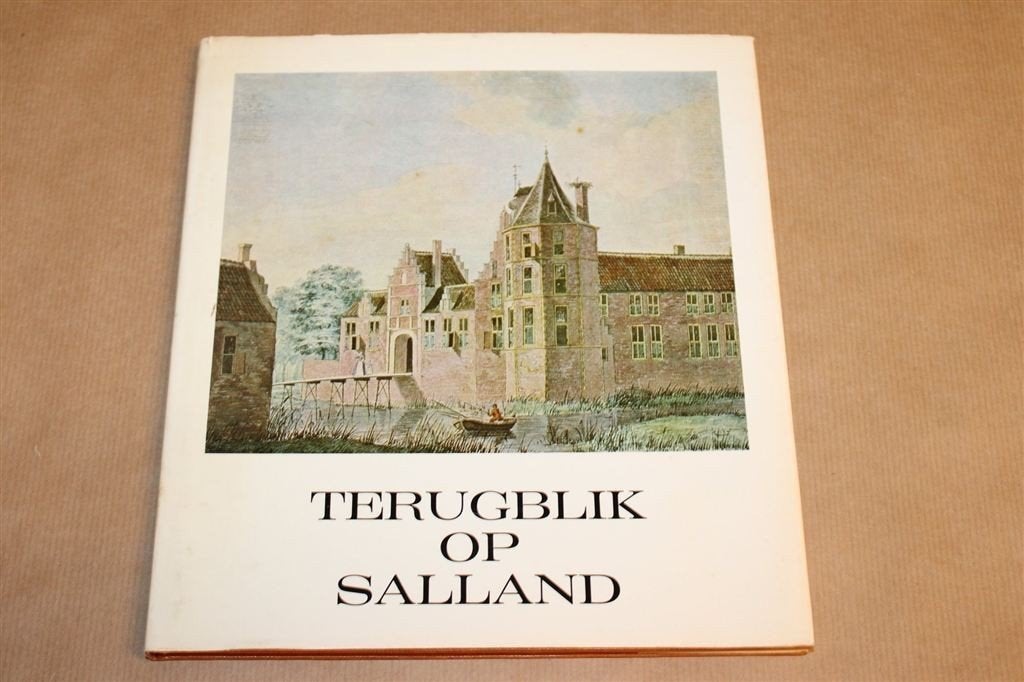 Terugblik op Salland — Catalogus Prenten en Schilderijen, Boeken, Geschiedenis | Stad en Regio, Ophalen of Verzenden, Gelezen