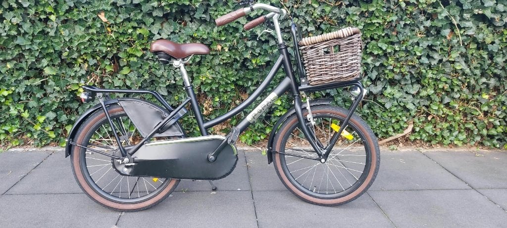 Popal Daily Dutch Basic 20 inch, Fietsen en Brommers, Terugtraprem, Ophalen of Verzenden, Popal, 20 inch