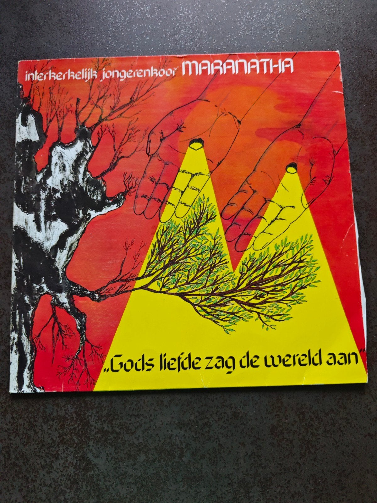 Interkerkelijk Jongerenkoor Maranatha - Gods Liefde, Cd's en Dvd's, Ophalen, Gebruikt