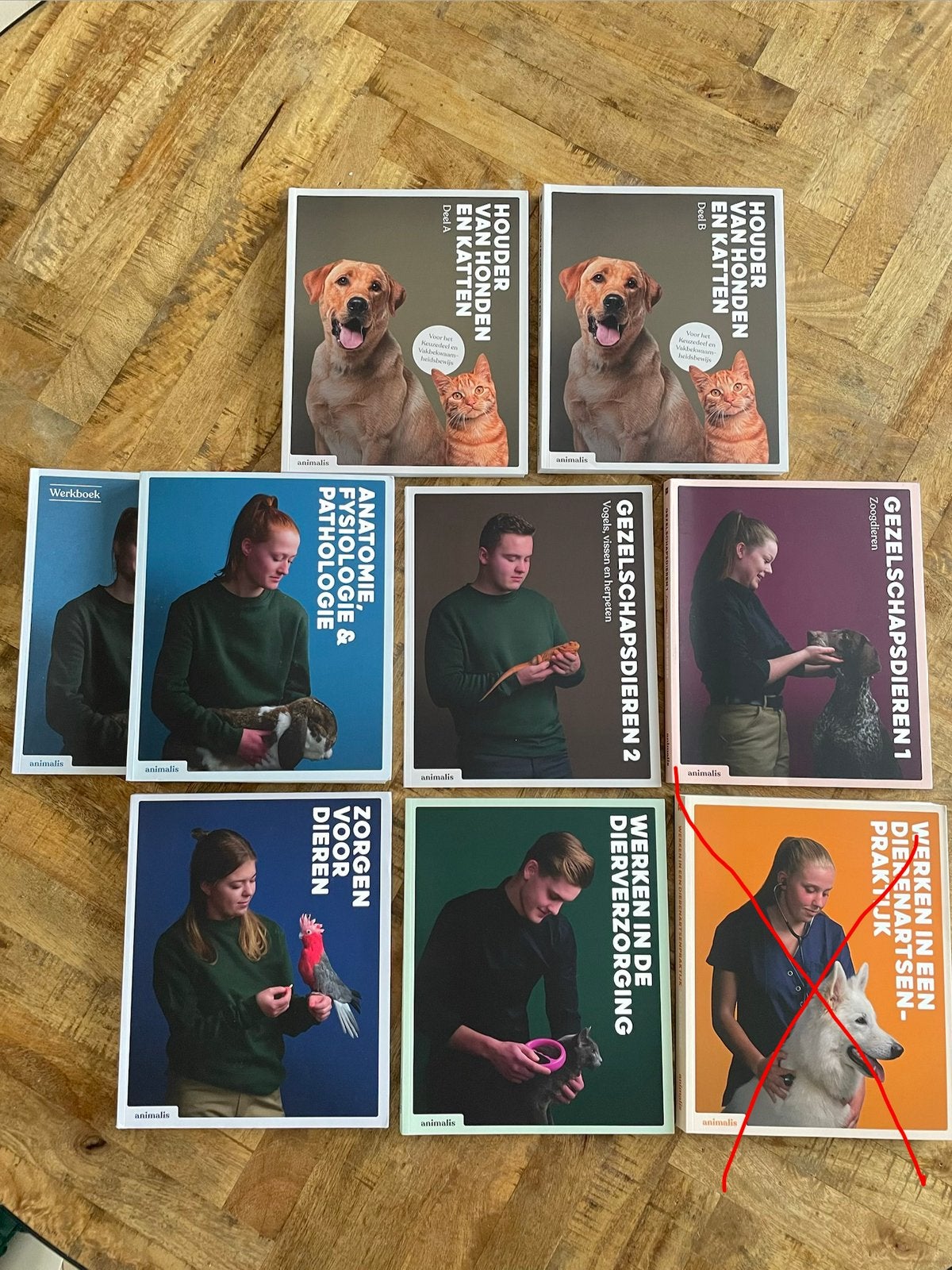 Studieboeken MBO Paraveterinair, Ophalen of Verzenden, Beta, Zo goed als nieuw, MBO