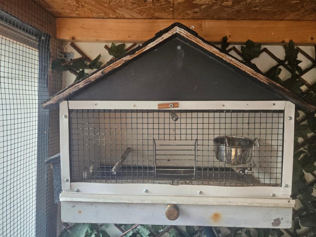 Vinkenkooi met nieuwe bitume, Dieren en Toebehoren, Vogels | Hokken en Kooien, Ophalen, Gebruikt, Hout, Vogelkooi