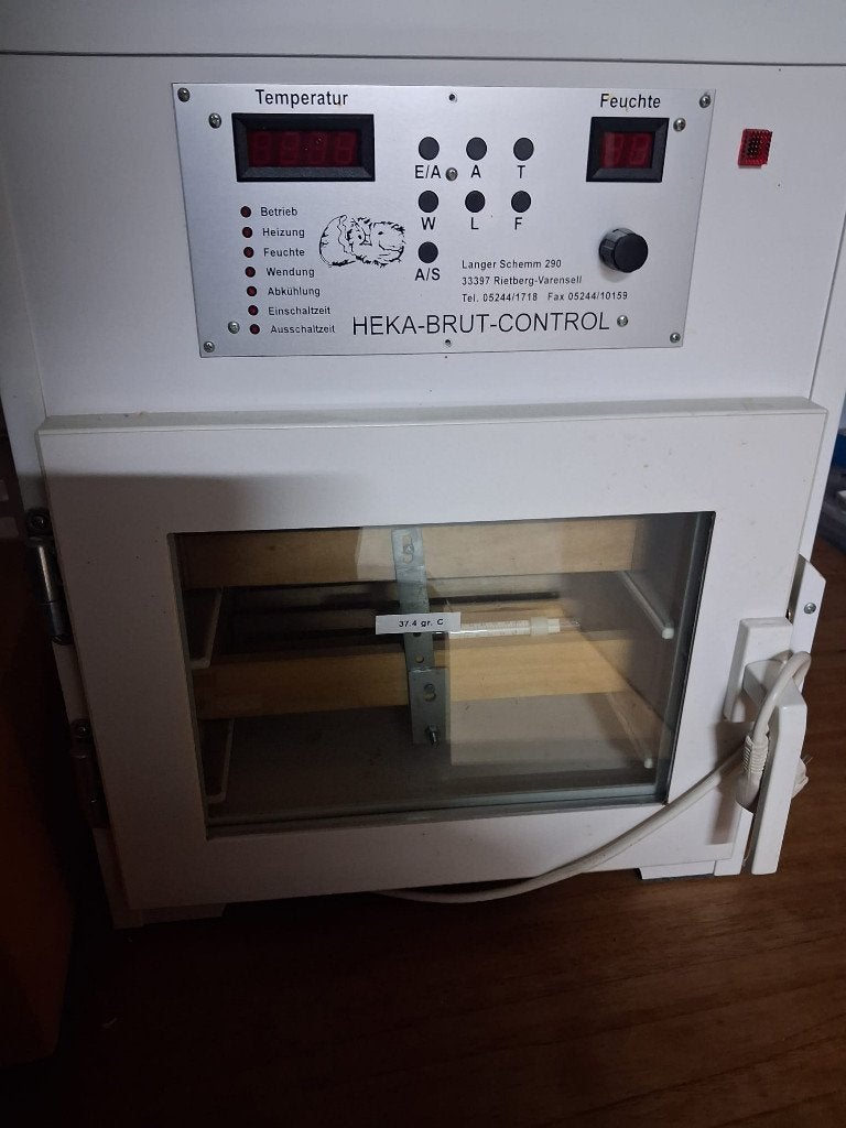 te koop broedmachine, Ophalen, Gebruikt
