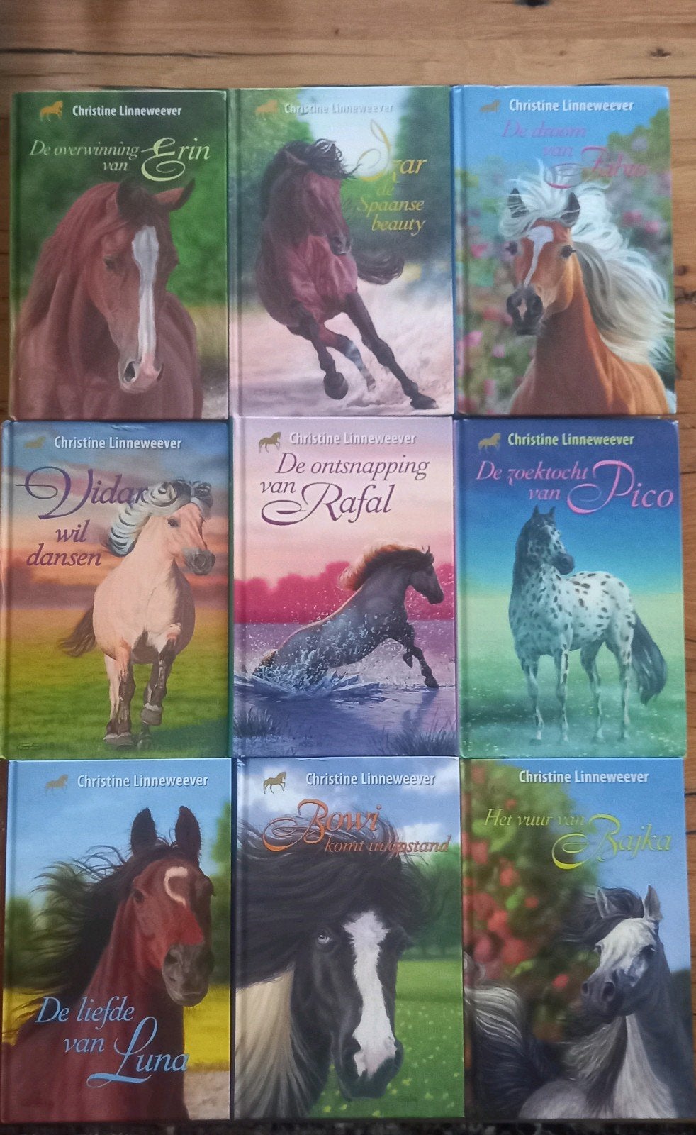 Christine Linneweever paardenboeken (9 stuks), Ophalen of Verzenden, Zo goed als nieuw, Christine Linneweever