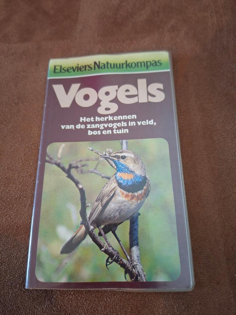 Informatief boekje over vogels, Ophalen of Verzenden, Gelezen, Vogels