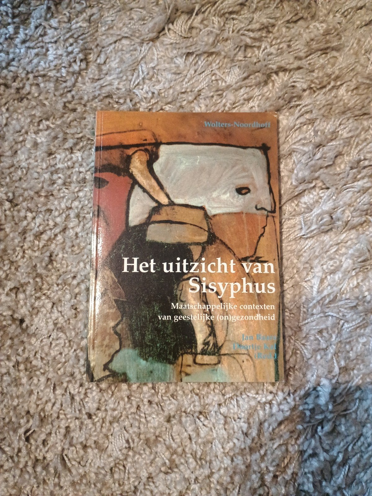 Het uitzicht van Sisyphus - Maatschappelijke contexten, HBO, Gamma, Jan Banning, Maarten Buit (Red.), Ophalen