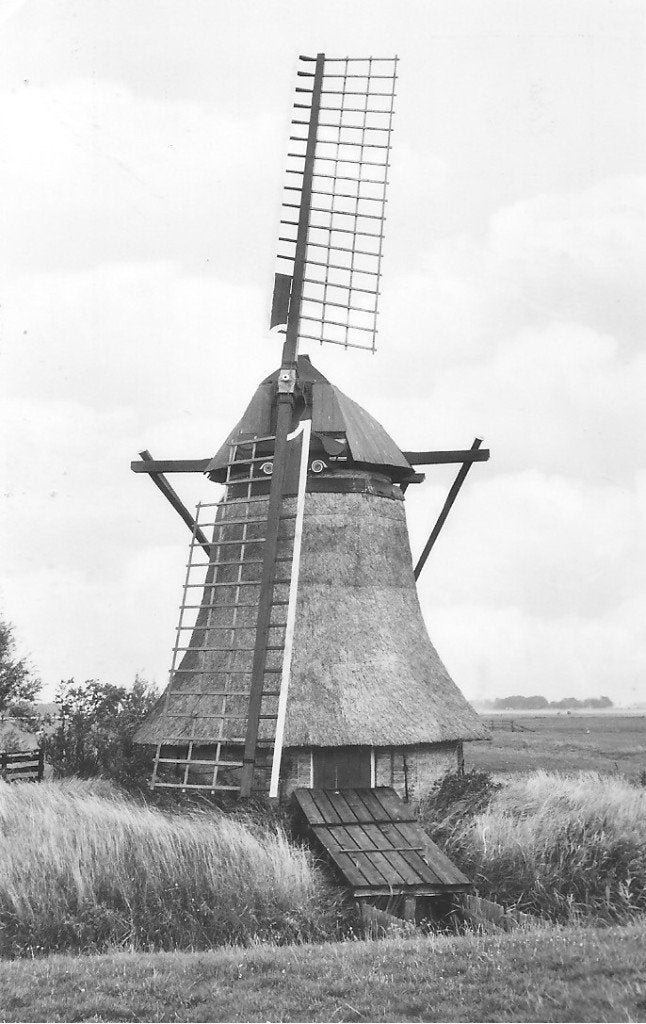 Ansichtkaart Oosterend Rispenspolder molen 1974, Ophalen of Verzenden, 1960 tot 1980, Ongelopen, Friesland