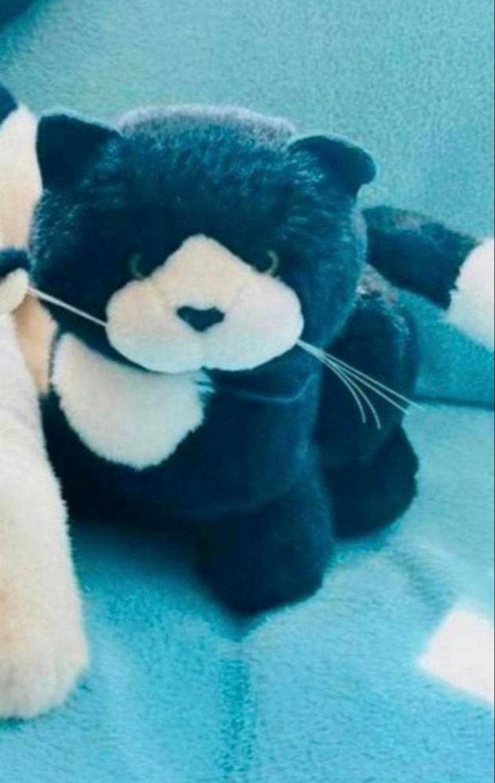 Nieuwe levensechte knuffelkat 30 cm, Kinderen en Baby's, Speelgoed | Knuffels en Pluche, Ophalen of Verzenden, Nieuw