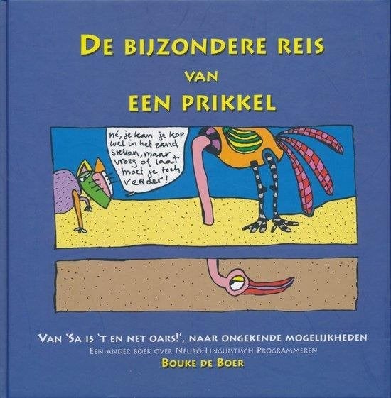 Bouke de Boer De bijzondere reis van prikkel, Boeken, Verzenden, Nieuw, Spiritualiteit algemeen, Achtergrond en Informatie