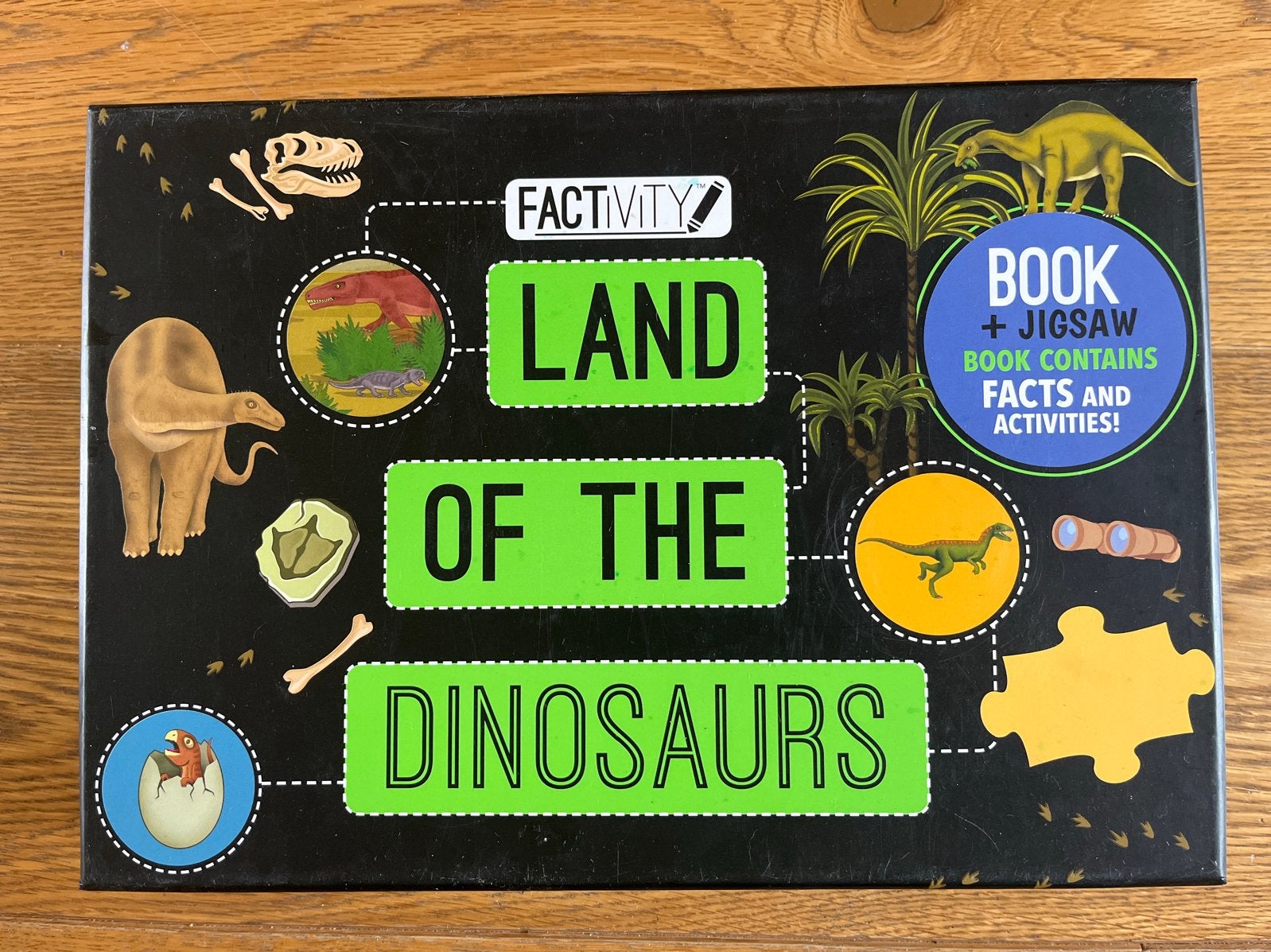 Factivity Land of the Dinosaurs Puzzel (100 stukjes), Ophalen, Meer dan 50 stukjes, Gebruikt, 6 jaar of ouder