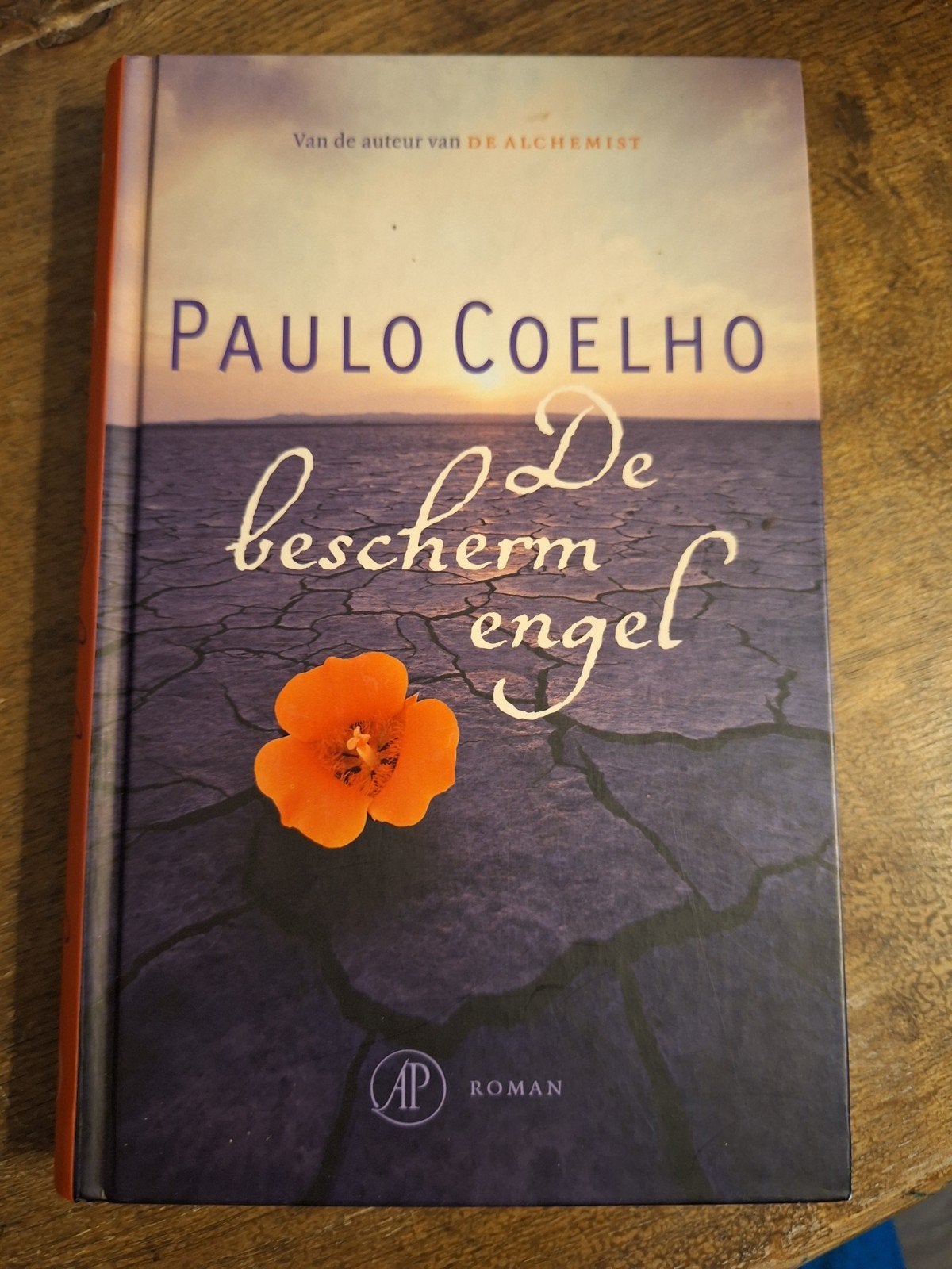 De beschermengel - Paulo Coelho (Hardcover), Boeken, Ophalen of Verzenden, Zo goed als nieuw, Paulo Coelho, Nederland
