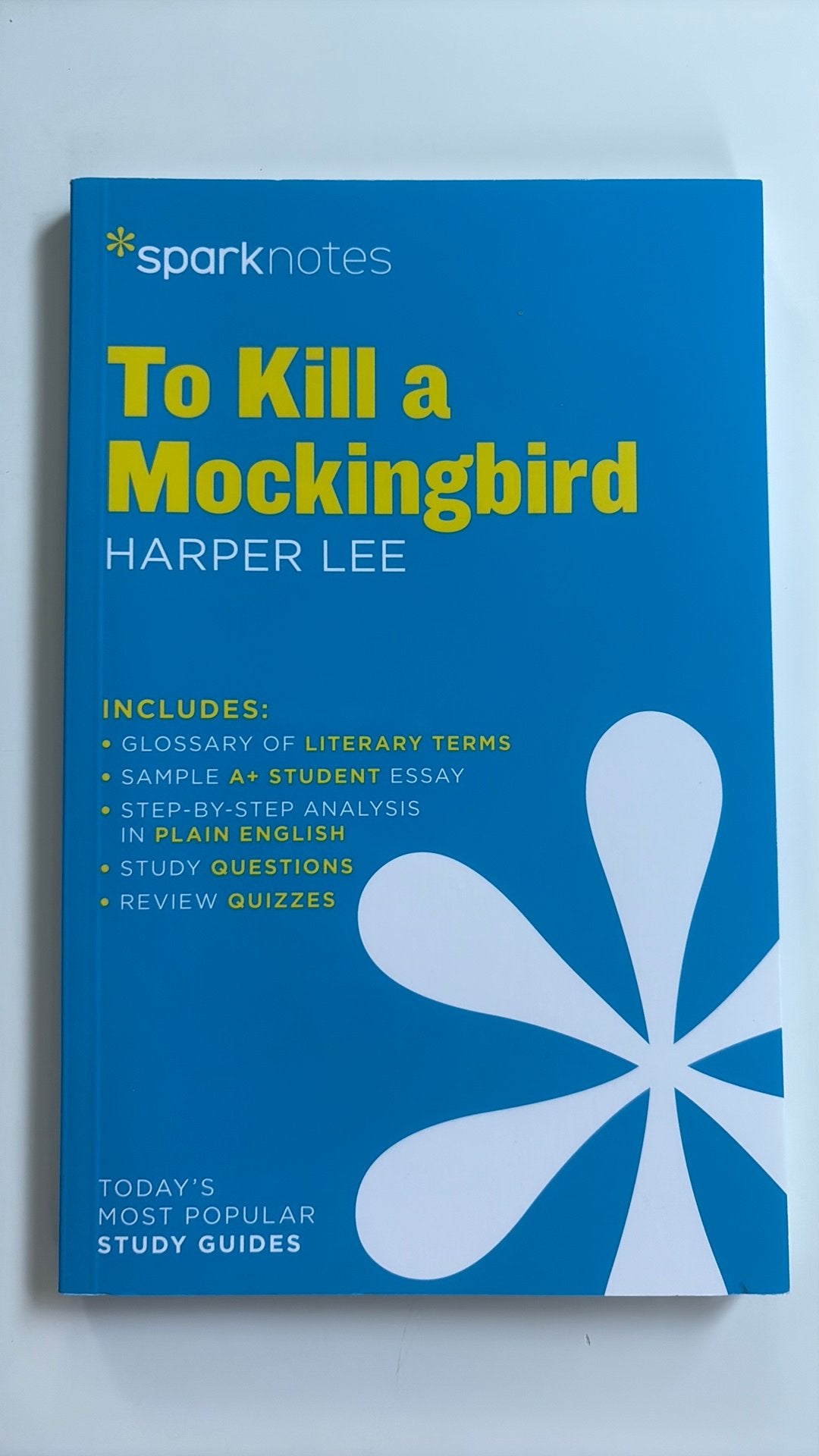Spark notes Samenvatting To Kill a Mockingbird, Harper Lee, Ophalen of Verzenden, Zo goed als nieuw, Harper Lee, Alpha