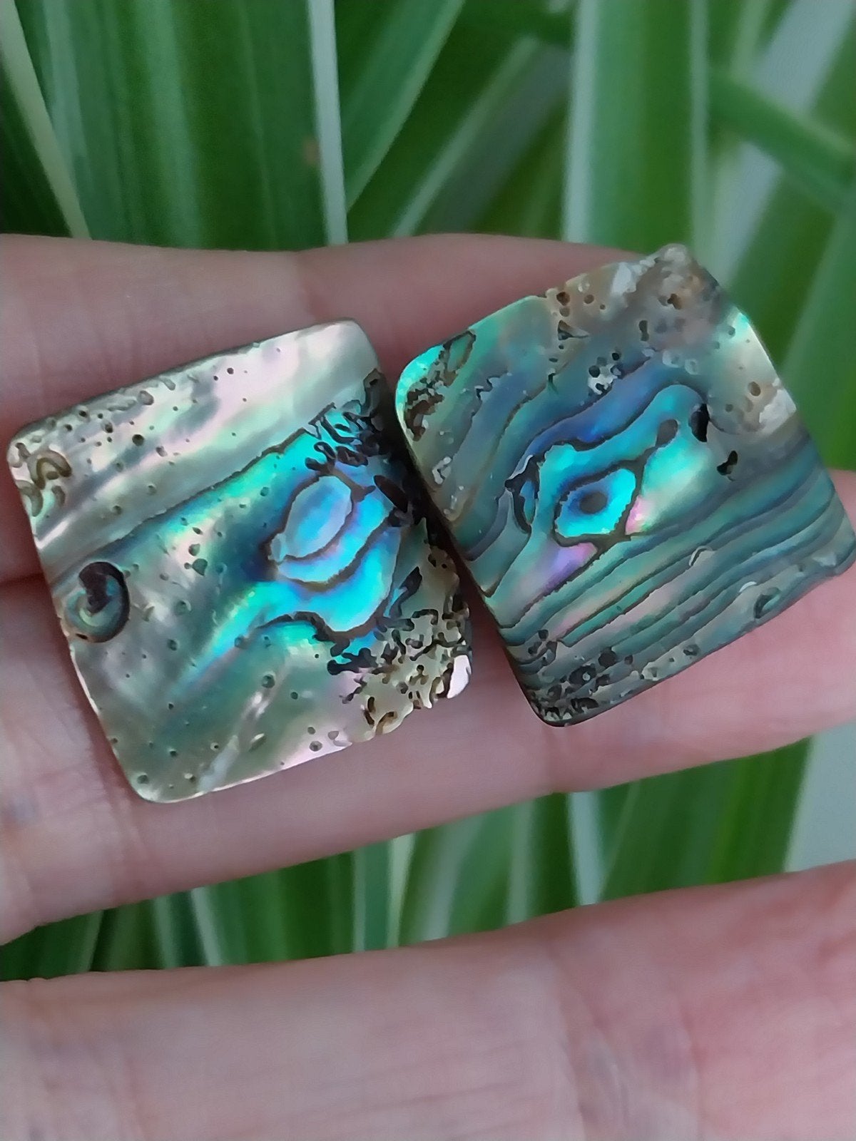 Parelmoer, Paua schelp oorbellen #806, Verzenden, Gebruikt, Overige materialen, Knopjes of Stekers