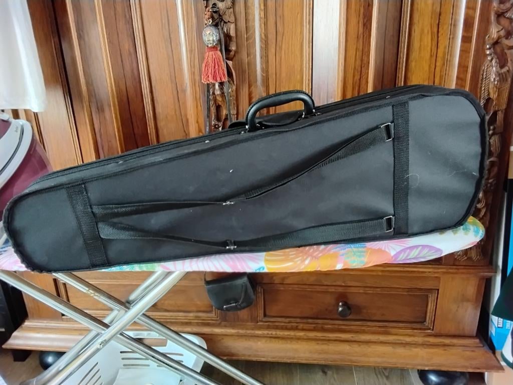 Viool koffer nieuw, Ophalen of Verzenden, Nieuw, Overige instrumenten