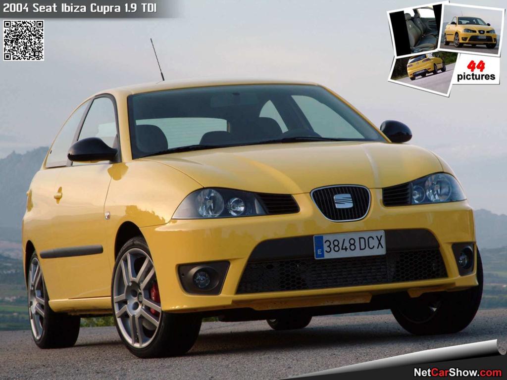 Seat Ibiza 1.9 TDI gezocht!, Ophalen, Seat