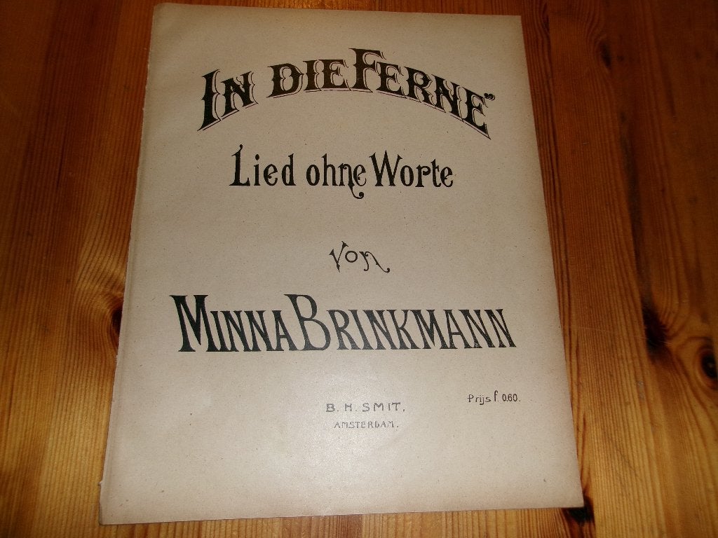 Minna brinkmann - in die ferne, Gebruikt, Klassiek, Ophalen of Verzenden, Artiest of Componist