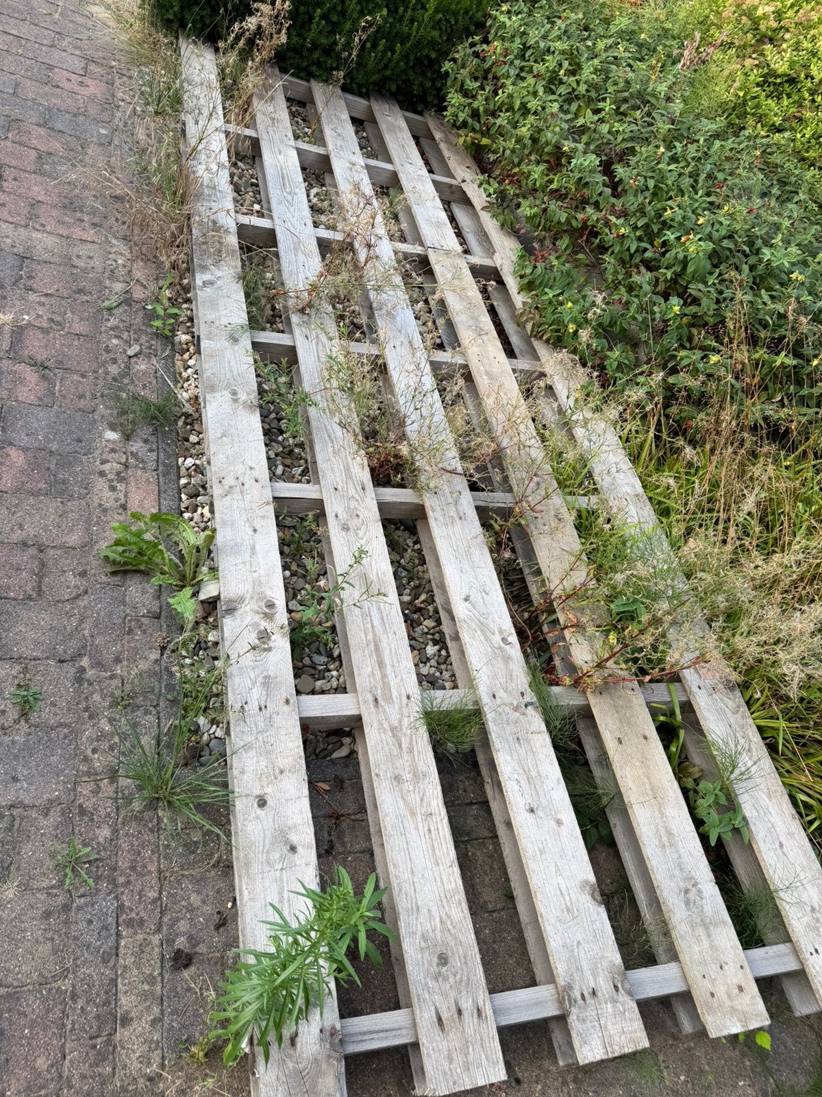 Houten pallet, Tuin en Terras, Ophalen, Zo goed als nieuw, Minder dan 180 cm, Planken